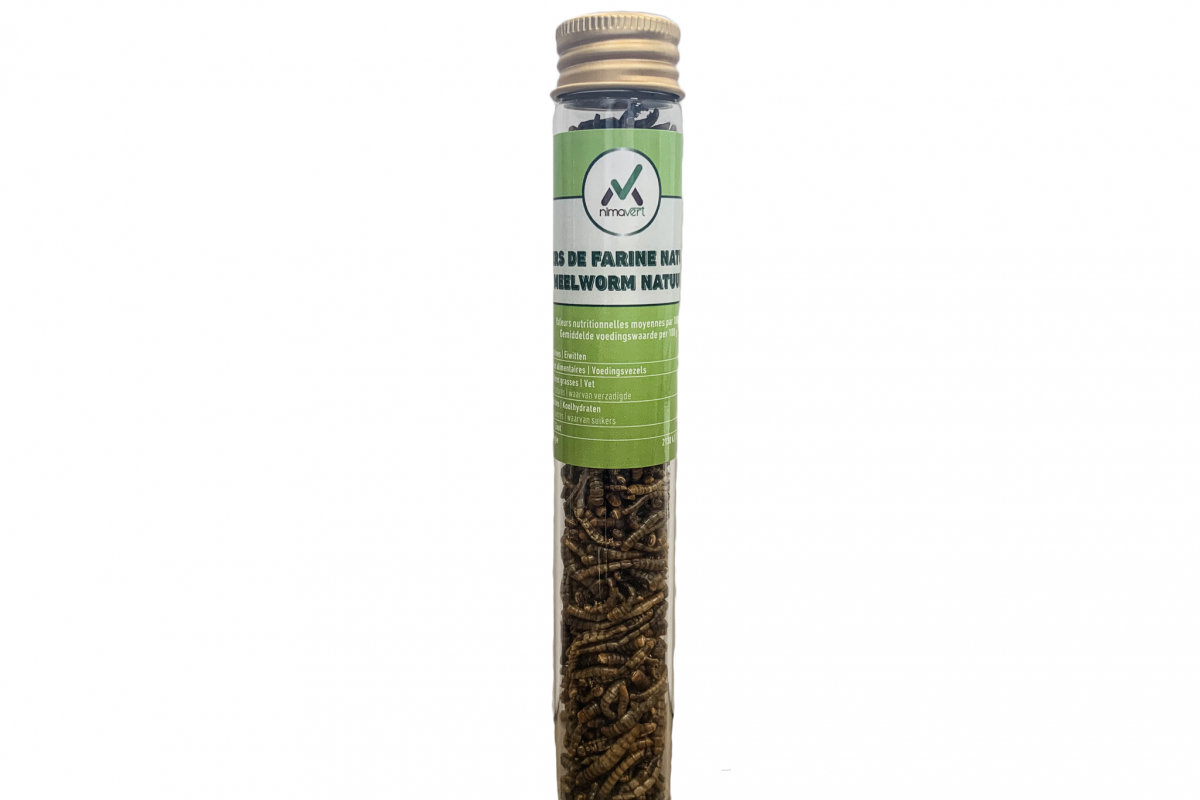 Plain dried mealworms (12g)